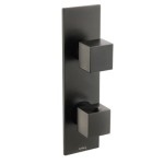 Square 2 Handle Thermostatic Control, Narrow Vertical Back Plate