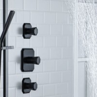 Thermostatic Control with 2 Volume Controls