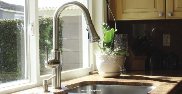 Crest Kitchen Pull Down Sink Faucet