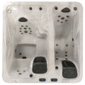 2 Zone Cold Plunge and Hot Tub Combination Spa