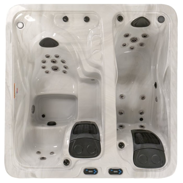 2 Zone Cold Plunge and Hot Tub Combination Spa