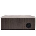 Spa Tub Cabinet with Cold Plunge Fan