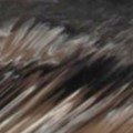 Drk White, Black & Brown Marble