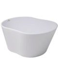 Oval Bath with Figure 8 Shape