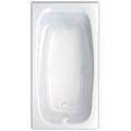 Rectangle Bath with Oval Bathing Well, Arm Rests