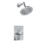 Pressure Balance Control and Wall Mount Showerhead