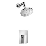 Pressure Balance Control and Wall Mount Showerhead