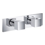 Rectangle Horizontal Plate, Square 2 Handle -Thermostatic Control