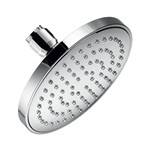 Small, Round Shower Head