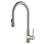 Modern Pull Out Spray Faucet with Round Design, Cone Base and Spray, Stainless Steel