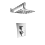 Thermostatic Control and Showerhead