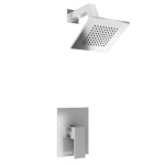 Drawing Pressure Balance Control and Wall Mount Showerhead