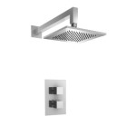 Thermostatic Control and Showerhead