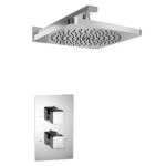 Thermostatic Control and Wall Showerhead