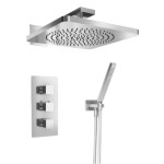 Thermostatic Control, Hand Shower and Rain Showerhead