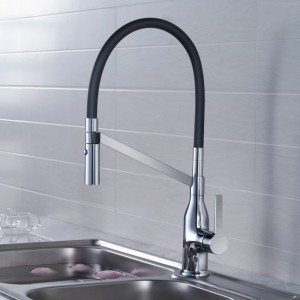 Serie 100 Kitchen Faucet