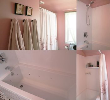 Collage of Tub Shower Bath with Stream Bath