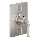 2 Volume Controls on Rectangle Plate, Lever Handle